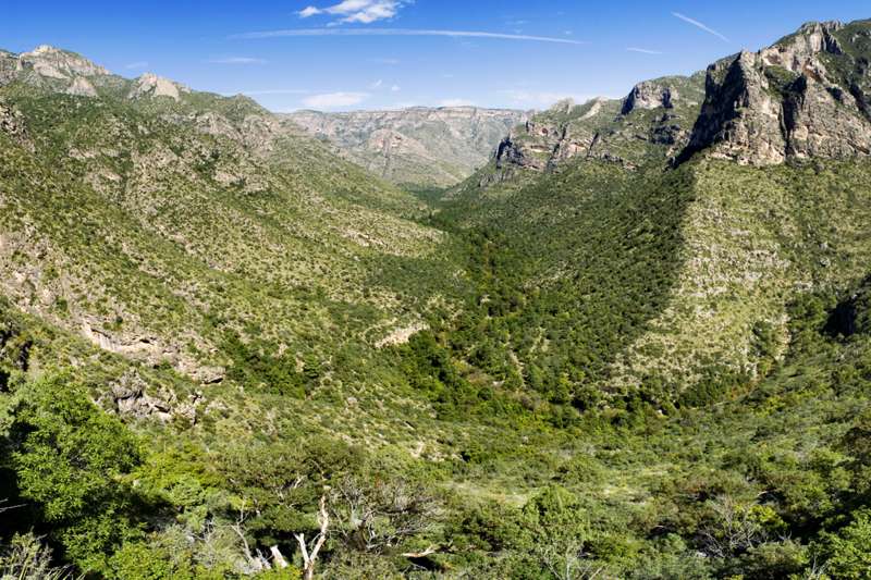 McKittrick Canyon Trail