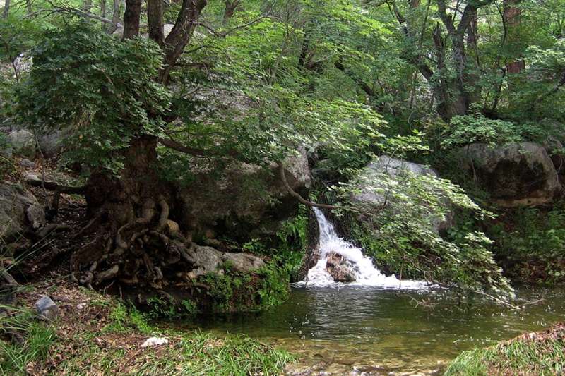 Smith Spring Trail