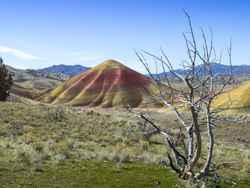 John Day Fossil Beds National Monument