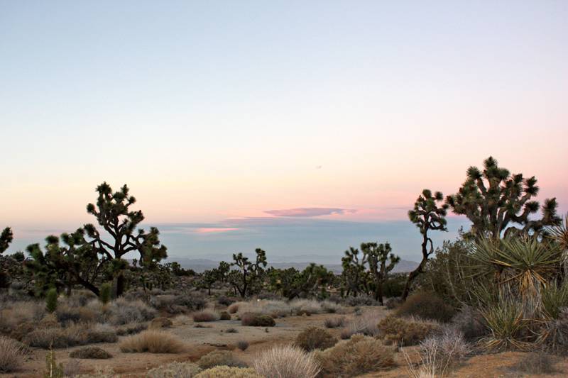 Black Rock Canyon