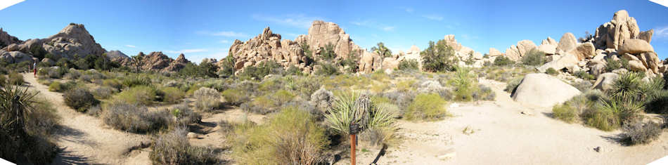 Joshua Tree National Park