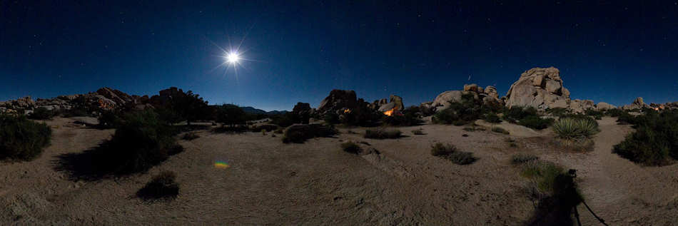 Joshua Tree National Park