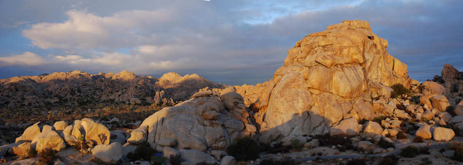 Joshua Tree National Park