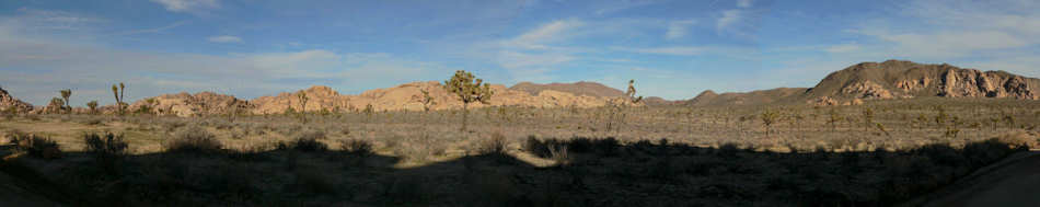 Joshua Tree National Park