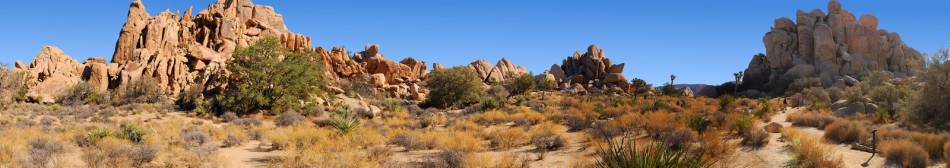 Joshua Tree National Park