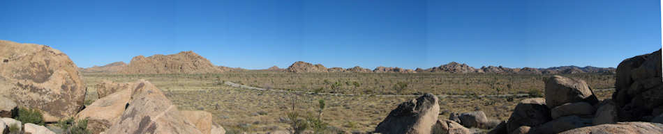 Joshua Tree National Park