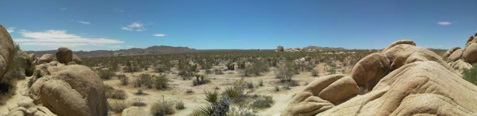 Joshua Tree National Park