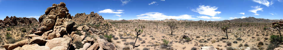 Joshua Tree National Park