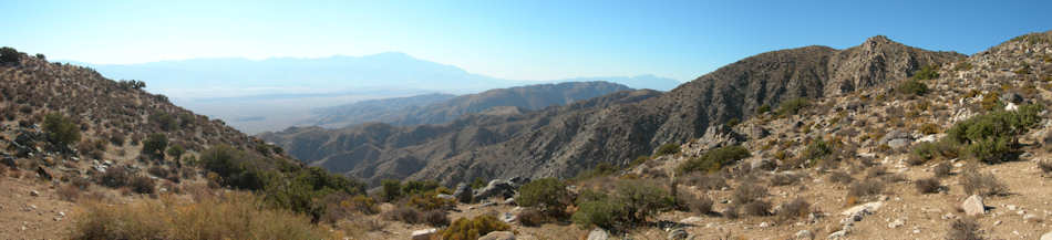 Joshua Tree National Park