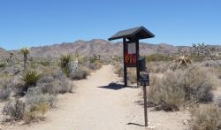 Joshua Tree National Park