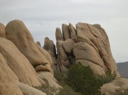 Joshua Tree National Park