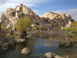 Joshua Tree National Park