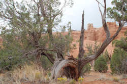 Kodachrome Basin State Park