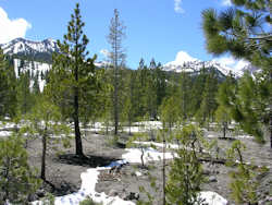 Lassen Volcanic National Park