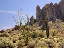 Lost Dutchman State Park