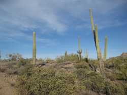 Lost Dutchman State Park