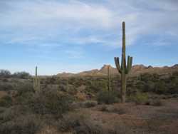 Lost Dutchman State Park