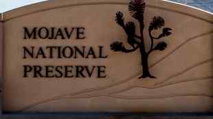 Mojave National Preserve