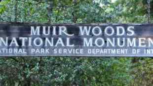 Muir Woods National Monument