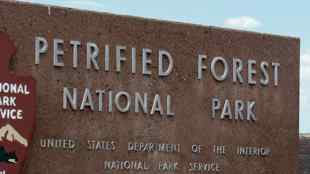 Petrified Forest National Park