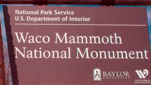 Waco Mammoth National Monument