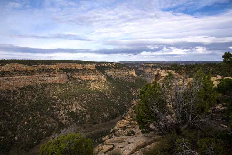 Navajo Canyon