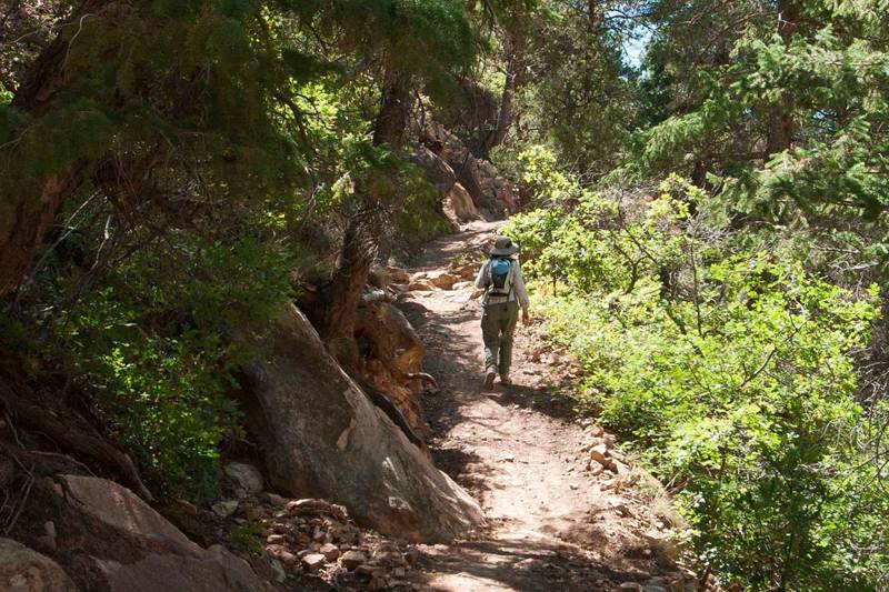 Spruce Canyon Trail