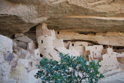 Mesa Verde National Park