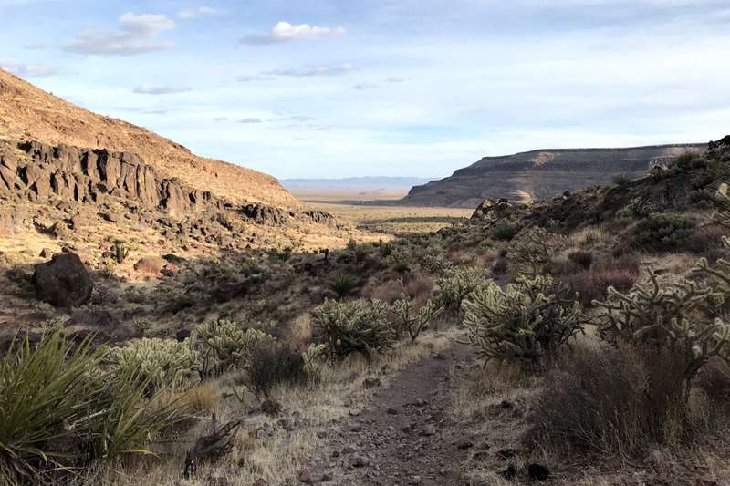 Barber Peak loop Trail