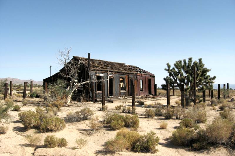 Cima Dome et Joshua Tree Forest