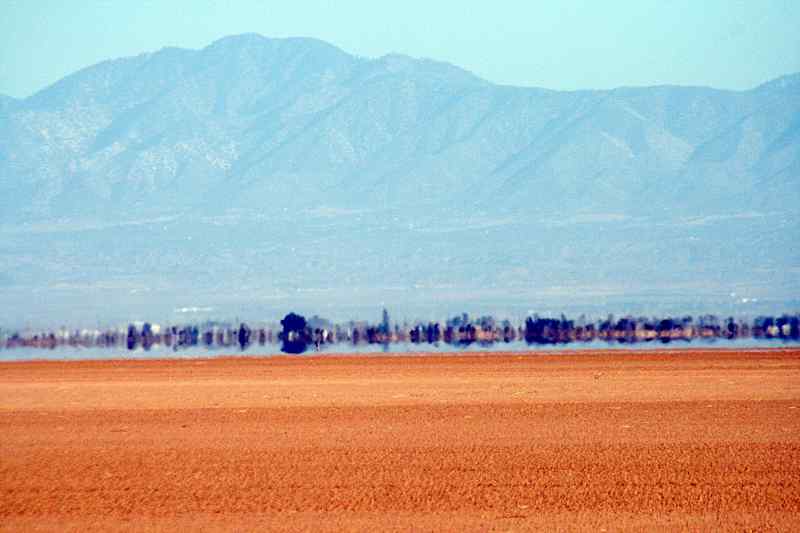 Mirage Mojave National Preserve