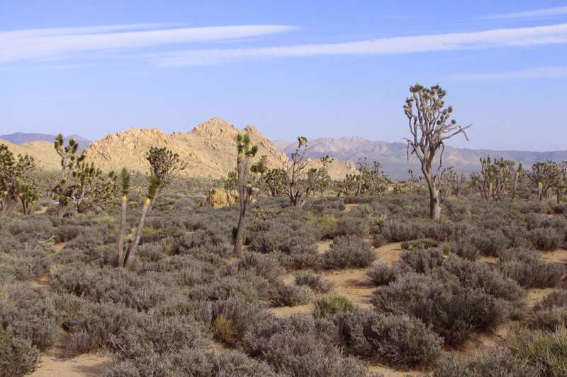 Teutonia Peak Trail