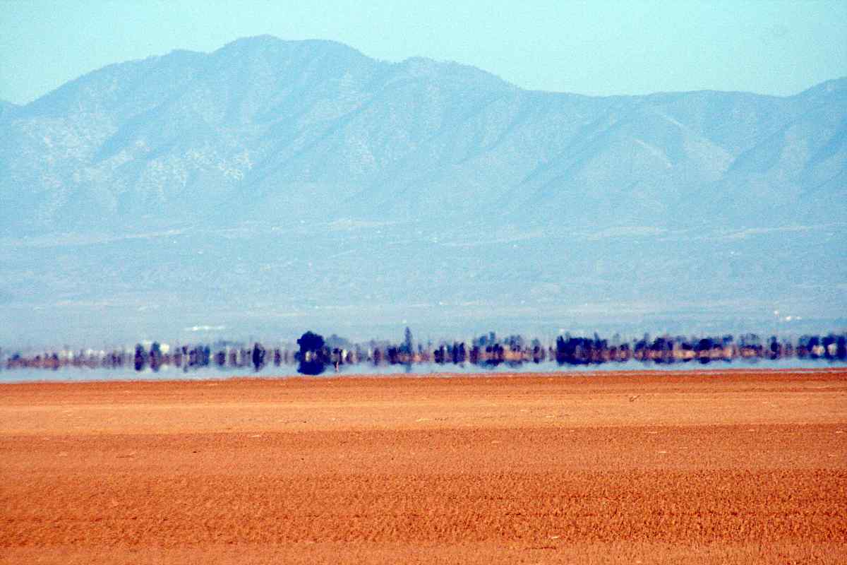 Visiter Mojave National Preserve