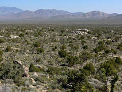 Mojave National Preserve