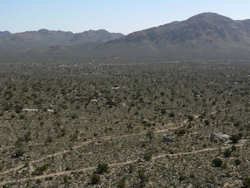 Mojave National Preserve