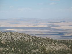 Mojave National Preserve