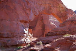 Monument Valley Tribal Park