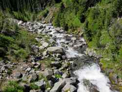 Mount Rainier National Park