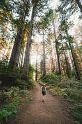 Muir Woods National Monument