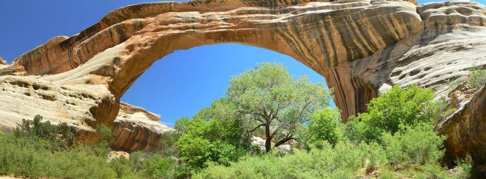 Natural Bridges National Monument