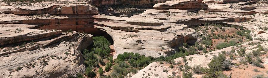 Natural Bridges National Monument