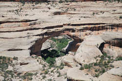 Natural Bridges National Monument