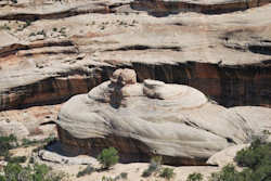 Natural Bridges National Monument