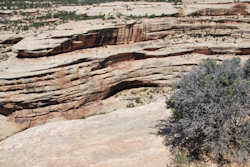 Natural Bridges National Monument