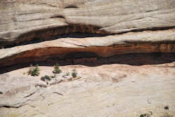 Natural Bridges National Monument