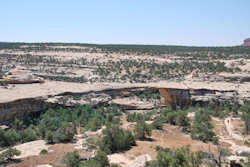 Natural Bridges National Monument