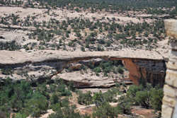 Natural Bridges National Monument