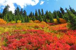 North Cascades National Park