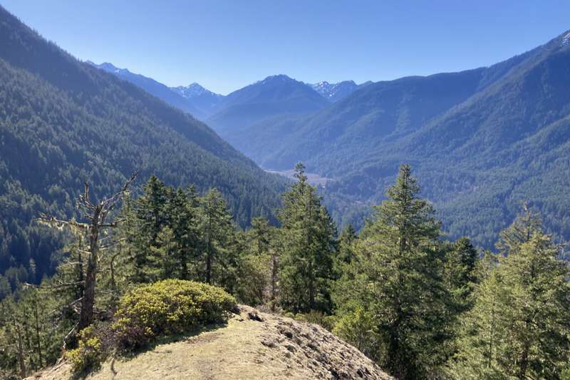 Griff Creek trail