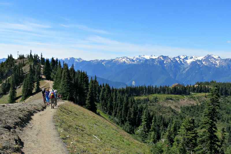 Hurricane Ridge